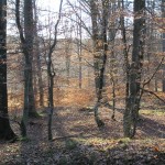 mina-bilder-679 mina-bilder-679