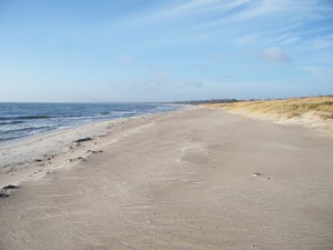 DSCF0567