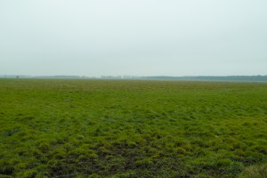 Öja mosse - ystad - stigvis