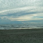 Mälarhusen – Borrbystrand