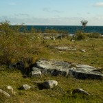 Simris strandäng